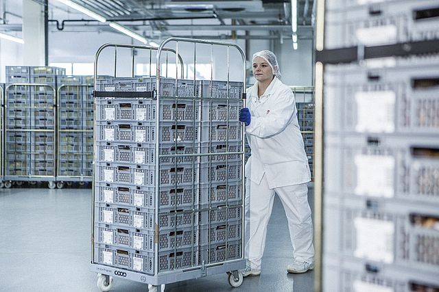 Bell steuert Transporthilfsmittel übergreifend mit dem Behältermanagement von EURO-LOG